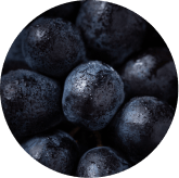 Grape Seed Extract