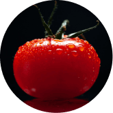 Lycopene