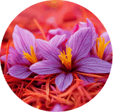 Saffron Extract